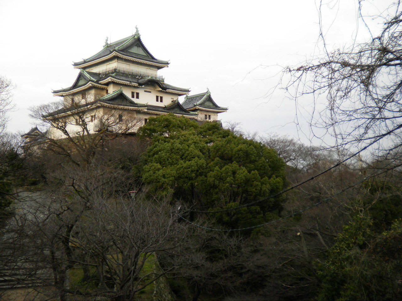 和歌山城①.JPG